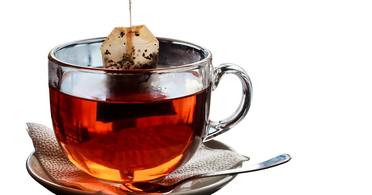 Are Tea Bags Biodegradable? teanests